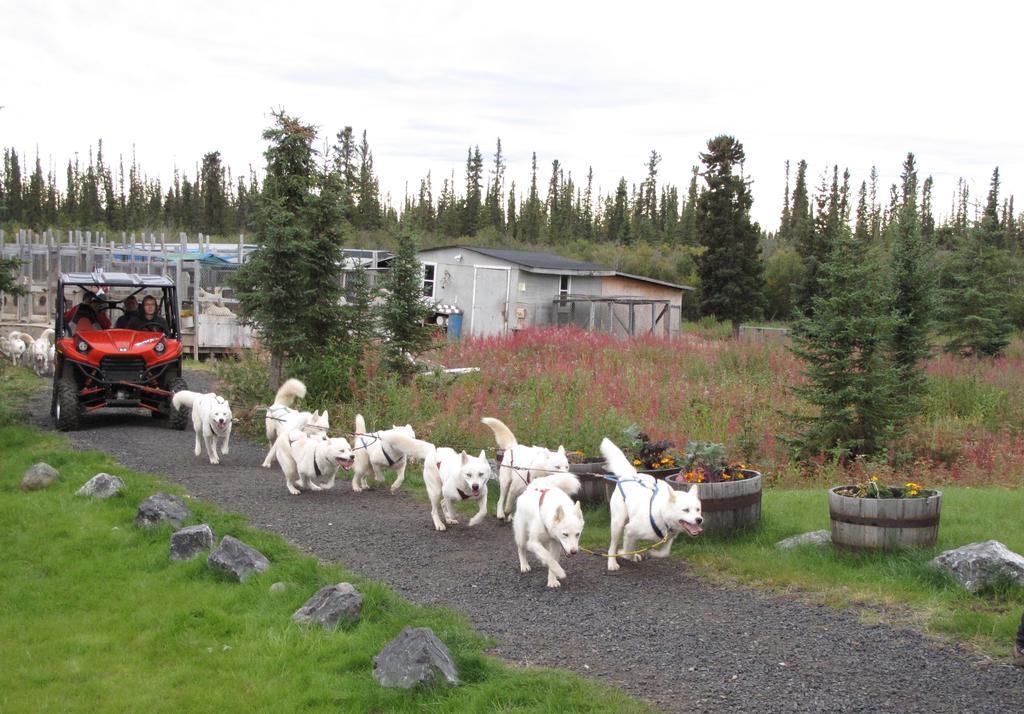 Arctic Chalet Resort Inuvik Exteriör bild
